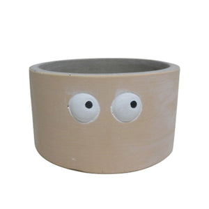 Decorative Pots - 4.5" Google Eye Planter
