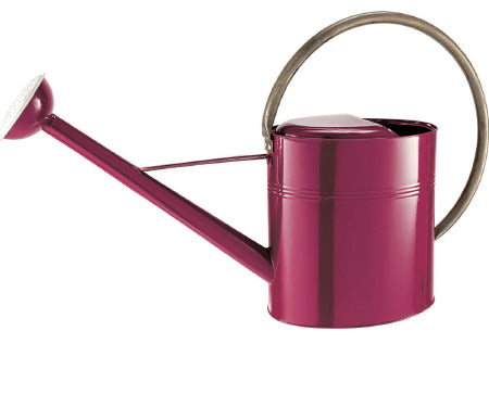 Watering Can - Stylish Vintage Burgundy Watering Can