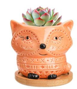 Decorative Pots - 3.5" Orange Fox