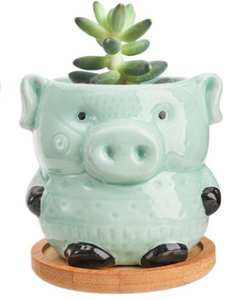 Decorative Pots - 3.5" Teal Pig