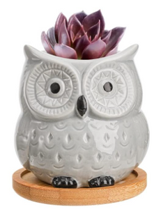 Decorative Pots - 2.75" Whimsical Grey Owl