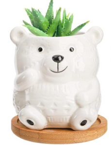Decorative Pots - 3" Polar Bear