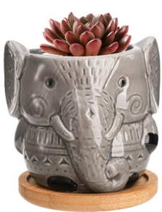 Decorative Pots - 3.5" Grey Elephant Patterned Succulent Pot