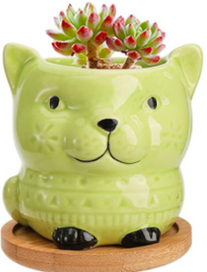 Decorative Pots - 3.2" Green Cat Pot