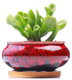 Decorative Pots - Crackle Glaze Short 4" Ceramic Pot - Assorted Colour