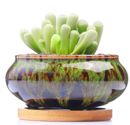 Decorative Pots - Crackle Glaze Short 4