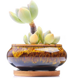 Decorative Pots - Crackle Glaze Short 4" Ceramic Pot - Assorted Colour
