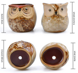 Decorative Pots - Glazed Owl (Assorted Designs)