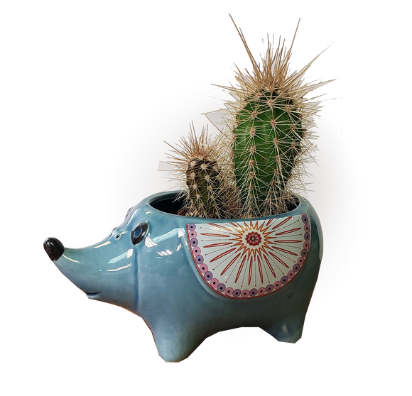 Decorative Pots - Hedgehog