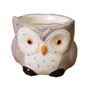 Decorative Pots - Painted 2" Owl