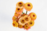 West Coast Seeds - Zinnia - Zinderella Peach
