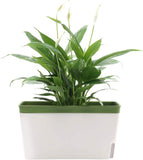 Decorative Pots - Self-Watering Rectangular Pots