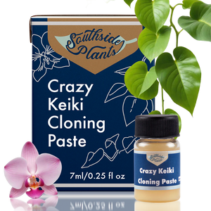 Crazy Keiki Cloning Paste