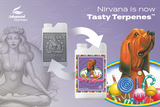 Advanced Nutrients - Tasty Terpenes 0-0-1