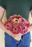 West Coast Seeds - Zinnia - Queeny Lime Red - FL4077