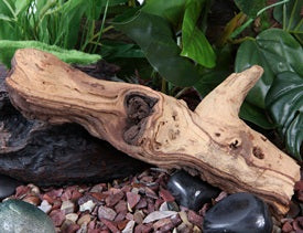 Fluval - Mopani Driftwood