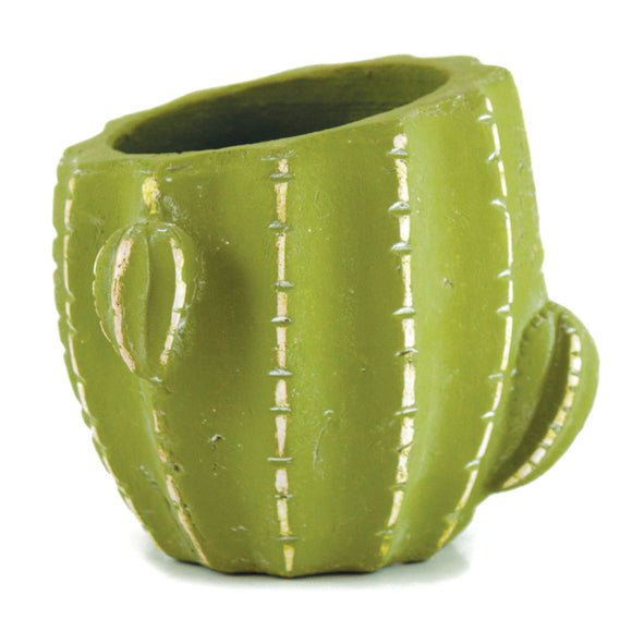 Decorative Pots - Cactus Cement Pot