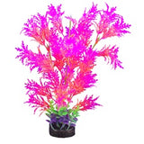 Marina - iGlo Assorted Glowing Plastic Plants