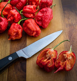 West Coast Seeds - Peppers - Carolina Reaper (10 Seeds)