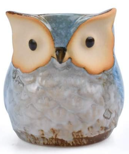Decorative Pots - Glazed Owl (Assorted Designs)