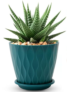 Decorative Pots - Vertical Wave Plastic Pot with Saucer - Solid Colour 5.5 Inches