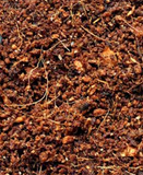 GrowPharm Growing Media - 5kg Coco Coir Blocks\