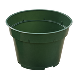 Green Azalea Pots