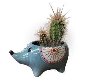 Decorative Pots - Hedgehog