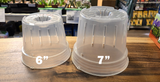 GrowPharm - Clear Orchid Pots