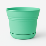 Saturn - Assorted Pots