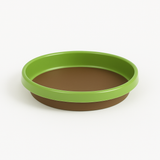 Green rimmed brown dish on a white background