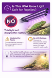 Infographic about UVA grow lights and their safety for reptiles, featuring images of a lizard and a green frog.