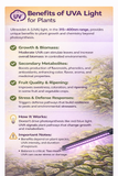 Infographic detailing the benefits of UVA light for plants with text and images of plants.