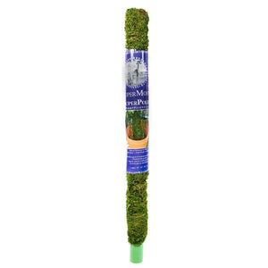 Moss Pole - Preserved Fresh Green 24in