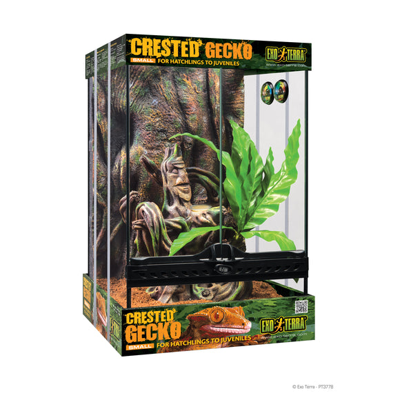 Crested Gecko Starter Kit (By Special Order Only)