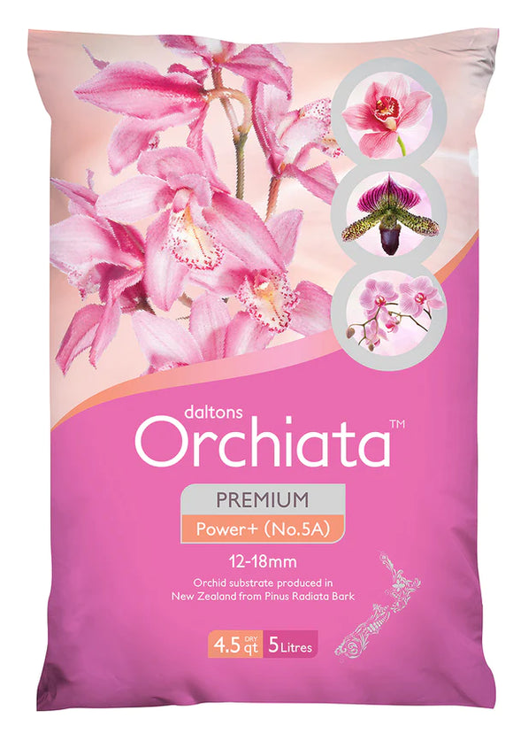 Orchiata - Power Plus