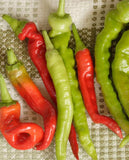 West Coast Seeds - PEPPER - Pepperoncini