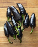 West Coast Seeds - Peppers - Black Hungarian (35 Seeds)