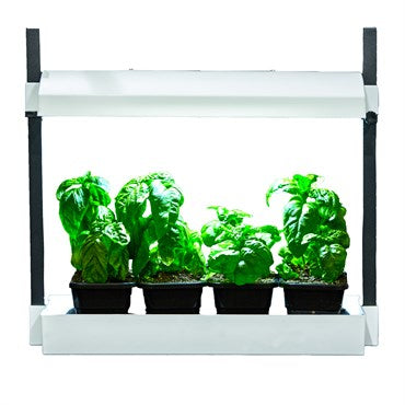 Sunblaster - Grow Light Garden Micro - IncrediGrow, aero, aero garden, aerogarden, christmas, cloning, cutting, easy, garden, gift, grow, hydro, kit, light, present Complete Kits