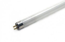 T5 Bulb 6500K Fluorescent Replacement (Veg), Fluorescent, IncrediGrow, IncrediGrow - Grow, Cannabis, Microgreens, Fertilizer, Calgary, Airdrie, Quickgrow, Amazing, Ecolighting, 