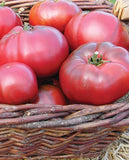 West Coast Seeds - TOMATO - Black Krim Certified Organic