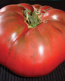 West Coast Seeds - TOMATO - Black Krim Certified Organic