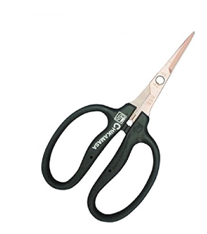 CHIKAMASA - B-500-SKF: Anti-Bacterial - IncrediGrow, chikamasa, chikamassa, chimakasa, clippers, cut, cutting, open, proof, scissor, scissors, sheer, sheers, sissors, slice, trim, trimmers, trimming Tools, Accessories & Books