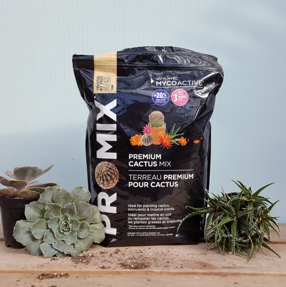Pro Mix - Premium Cactus Mix - 5 litres - IncrediGrow, cactus, dirt, pearlite, perilite, potting, pro mix, promix, soil, spagnum moss Propagation & Growing Mediums