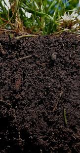 Earthly Matters: Formerly Living Soil Solutions - Worm Castings - IncrediGrow, amendments, living, soil, solutions, worm Natural Products