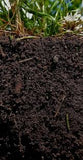 Earthly Matters: Formerly Living Soil Solutions - Worm Castings - IncrediGrow, amendments, living, soil, solutions, worm Natural Products