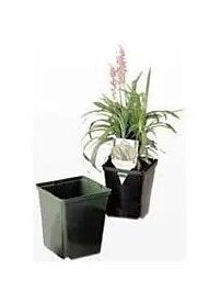 HC - Hard Thick 3.5 inch Square Pot
