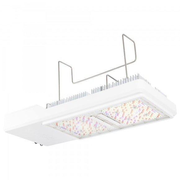 Gavita CT1930e LED 120-277V - IncrediGrow,  LED