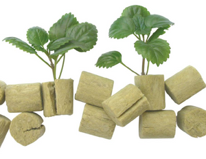 Rockwool Round plug 1.5" - 50 per bag - IncrediGrow, a-ok, aok, clone, clones, cloning, cutting, DELTA, grodan, grow, hydro, hydroponic, hydroponics, macroplug, potting, rock, rockwall, rockwell, rockwool, rooting, seed, seedling, sponge, sponges, start, water, well, wool Rockwool