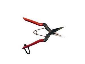 Chikamasa shop pruning shears